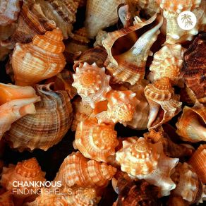 Finding Shells album cover