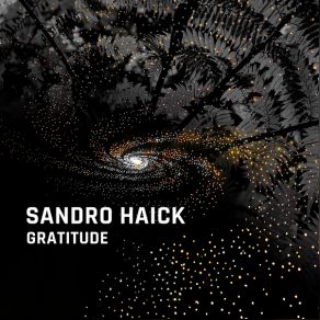Gratitude album cover