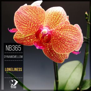 Loneliness album cover