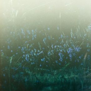I Hope You’re Happy album cover
