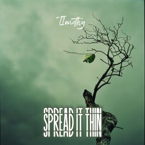 Spread It Thin album cover