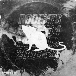 R 14 album cover