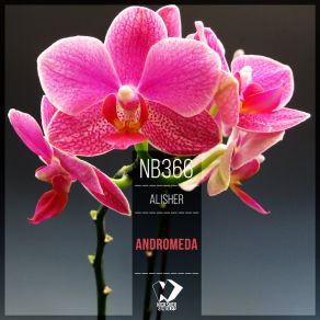 Andromeda (Original Mix) album cover