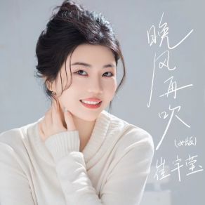 晚风再吹 (DJ九零版) album cover