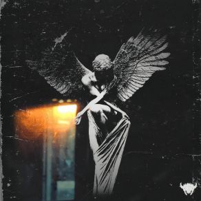 FLY album cover