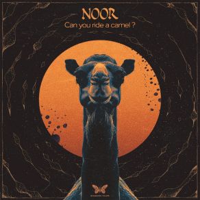 Can You Ride A Camel? album cover