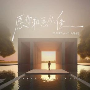 愿你如愿以偿 (DJ九零版) album cover