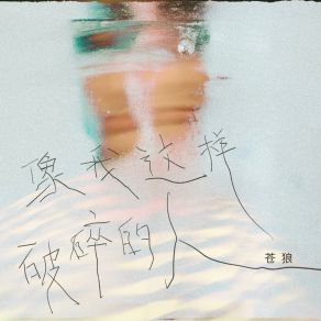 像我这样破碎的人 (DJ九零版) album cover