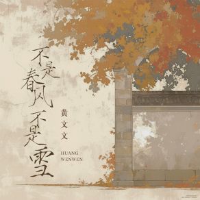 不是春风不是雪 (DJ九零版) album cover