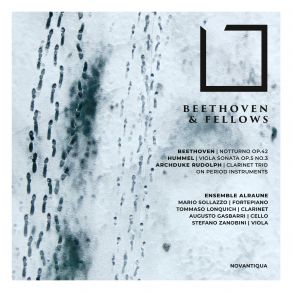 Beethoven & Fellows (Chamber Music Beethoven, Hummel And Archduke Of Austria On Original Instruments) album cover