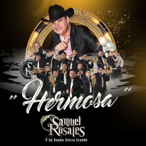 Hermosa album cover