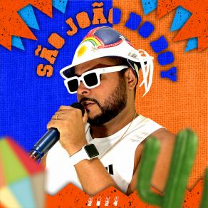 São João Do Boy 2024 album cover