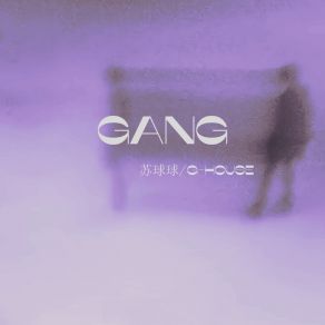 GANG album cover