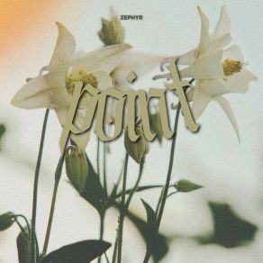 Point album cover