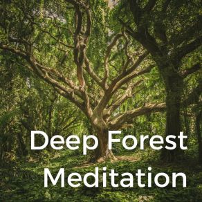 Deep Forest Meditation album cover