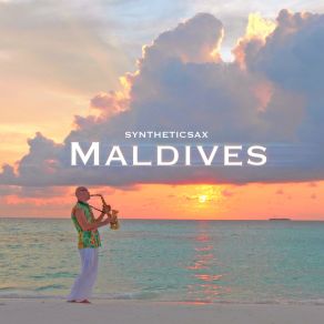 Maldives album cover