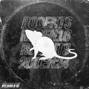 R 16 album cover