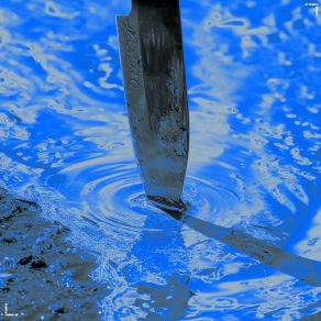 Cri Du Cœur album cover