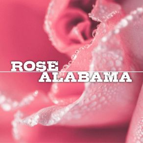 Rose Alabama album cover