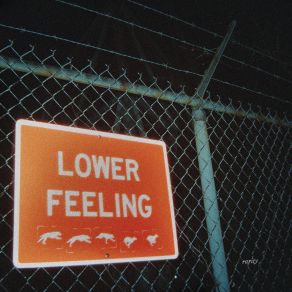Lower Feeling album cover