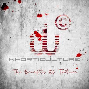 The Benefits Of Torture (Single) album cover