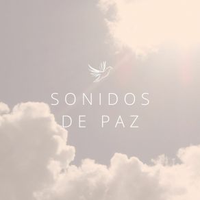 Sonidos De Paz album cover