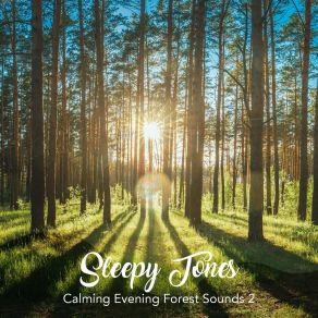Sleepy Tones: Calming Evening Forest Sounds 2 album cover