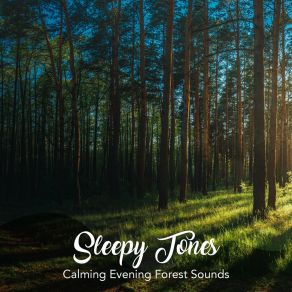 Sleepy Tones: Calming Evening Forest Sounds album cover