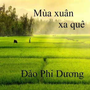 Mùa Xuân Xa Quê album cover