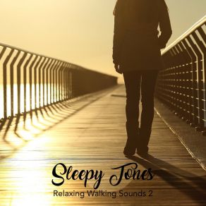 Sleepy Tones: Relaxing Walking Sounds 2 album cover