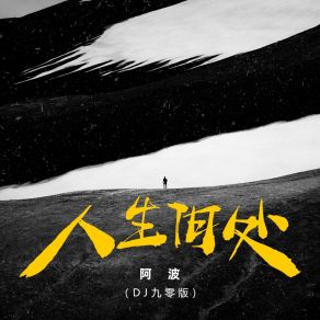 人生何处 (DJ九零版) album cover