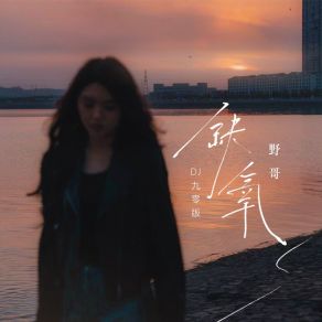 缺氧 (DJ九零版) album cover