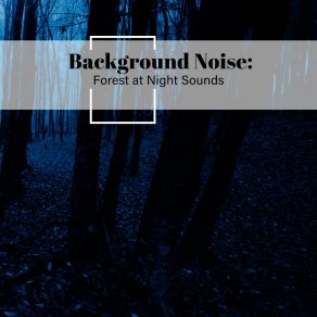 Background Noise: Forest At Night Sounds album cover
