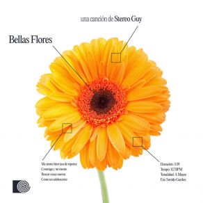 Bellas Flores album cover