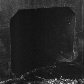 Hostile Environments album cover