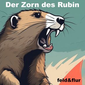 Der Zorn Des Rubin album cover