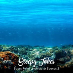 Sleepy Tones: Stress Relief Underwater Sounds 2 album cover