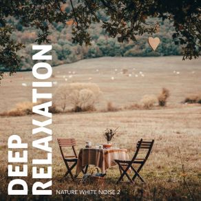 Deep Relaxation: Nature White Noise 2 album cover