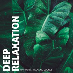 Deep Relaxation: Rainforest Relaxing Sounds album cover