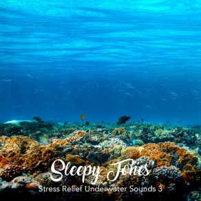 Sleepy Tones: Stress Relief Underwater Sounds 3 album cover