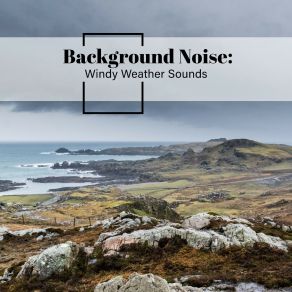 Background Noise: Windy Weather Sounds album cover