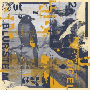 Ocelli album cover