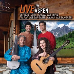 Live In Aspen album cover