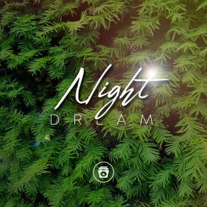 Night Dream album cover