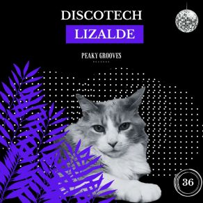 Discotech album cover