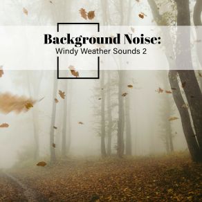 Background Noise: Windy Weather Sounds 2 album cover