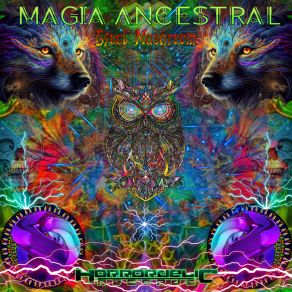 Ancestral Magic album cover