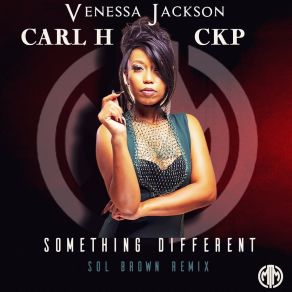 Something Different Remix album cover