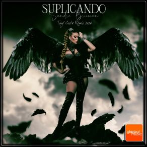 Suplicando Remixes album cover