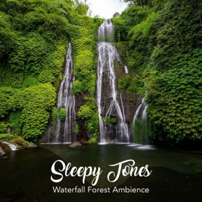 Sleepy Tones: Waterfall Forest Ambience album cover